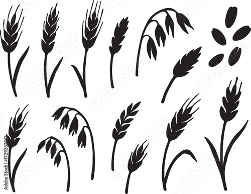 Wild Grain and Barley Silhouette Icon Set Uneven Sprigs, Scattered Wheat, Rustic Oats, Seeds and Natural Glyph Elements