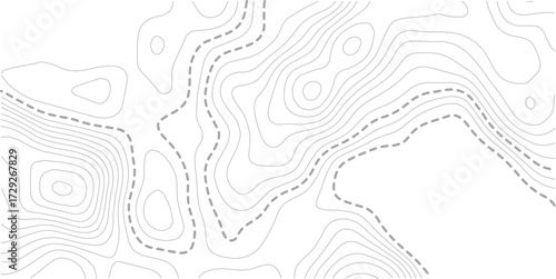 Topographic contour map. Vector cartography illustration. Topography and geography map grid abstract backdrop. Business concept. Fish Fillet Texture, Salmon fillet texture, fish pattern. paper texture