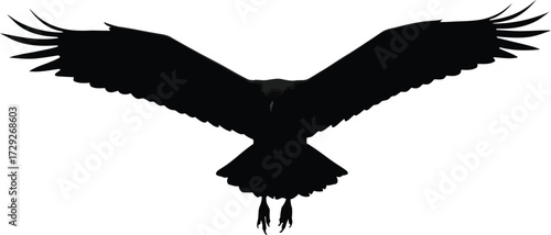 Majestic eagle silhouette wings spread flying freedom wildlife vector