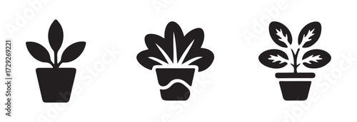  Potted plant icon, silhouette plant icon set, minimalist black aloe vera plant icon in pot, simple and elegant black plant icon in a pot, vector illustration EPS 10.