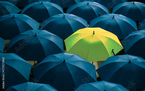 Overhead View of a Unique Green-Yellow Umbrella Standing Out in a Mass of Deep Blue Umbrellas