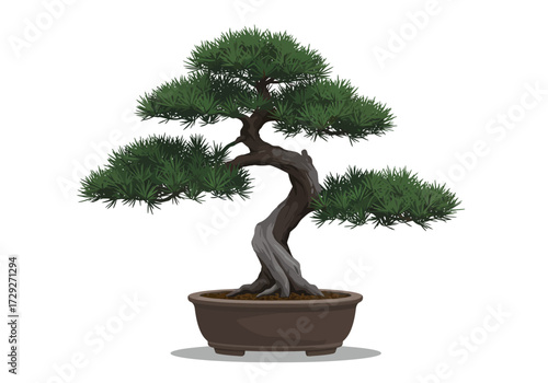 Japanese Bonsai Tree in Brown Pot.