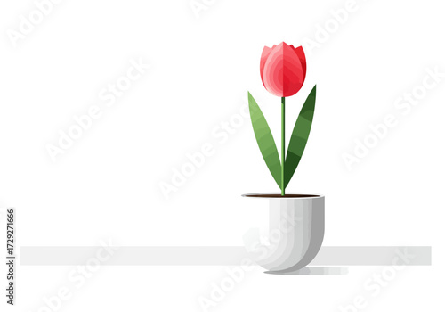 Single Red Tulip in a White Pot.