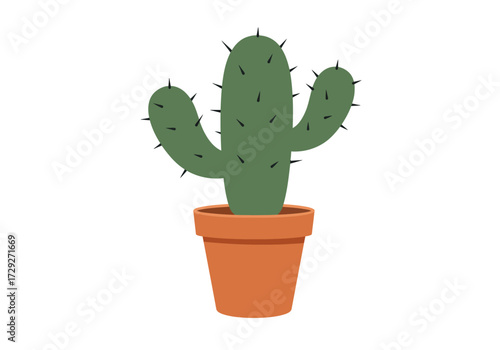 Cactus in a terracotta pot desert plant.