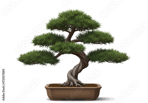 Japanese Bonsai Tree in Brown Pot.