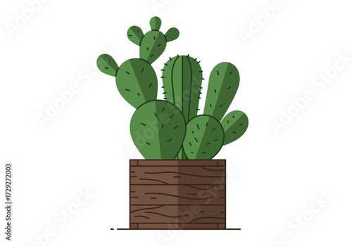 Cactus Plant in Wooden Pot.