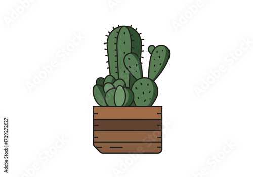 Cactus Succulent Plants in Wooden Pot.