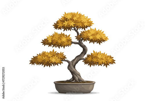 Japanese Bonsai Tree Autumn Colors.