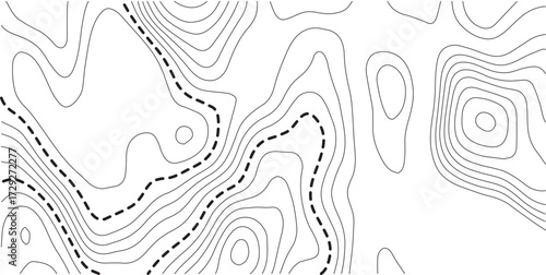Topographic contour map. Vector cartography illustration. Topography and geography map grid abstract backdrop. Business concept. Fish Fillet Texture, Salmon fillet texture, fish pattern. paper texture