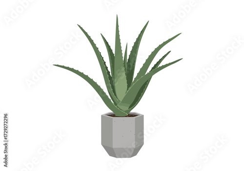 Potted Aloe Vera Plant in Grey Pot.