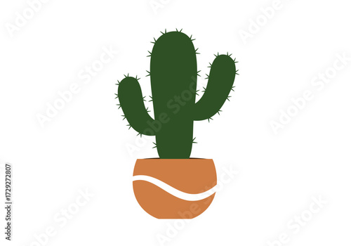 Cactus in a terracotta pot desert plant.