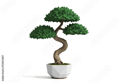 Elegant Bonsai Tree in White Pot.