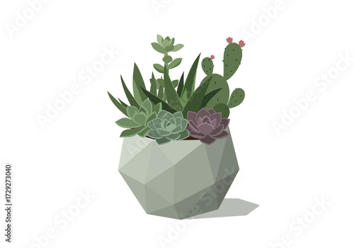 Geometric Pot with Succulents and Cactus.