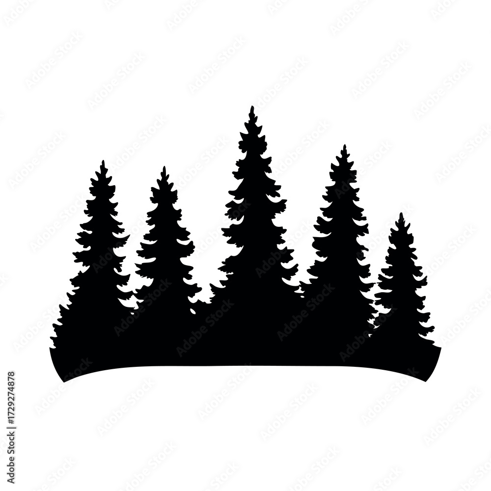 Obraz premium Silhouette of a dense forest of tall evergreen pine trees against a white background