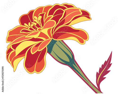 orange flower isolated on white