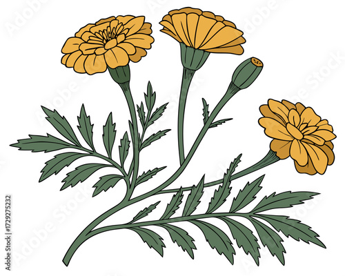 A beautiful set of yellow flowers with a poppy vector illustration creates a vibrant floral pattern reflecting summer nature and design art