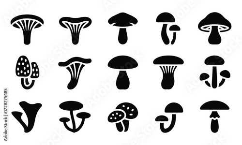 Bold Black Mushroom Silhouette Icons - Bold Flat Vector Shapes, Clean Modern Style, Professional Design.