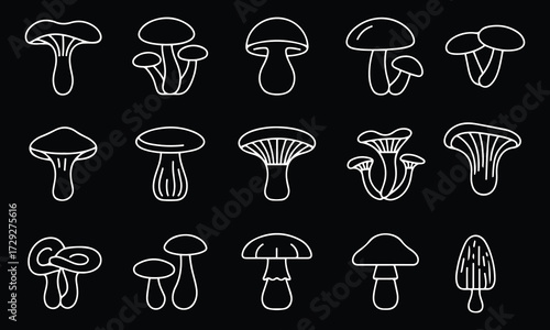 Elegant White Line Mushroom Icons on Dark Background for Modern Botanical Themes. Minimalist design, Clean vector Outline, Thin stroke, Modern design.