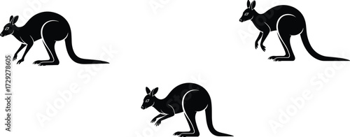 Kangaroo silhouettes, Australian wildlife, animal posture illustration, jumping marsupial, nature design, side profile kangaroo, wild animal art, movement study, outback symbol