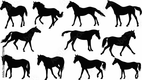 Collection of elegant horse silhouettes capturing dynamic movement and graceful stances for equestrian design projects