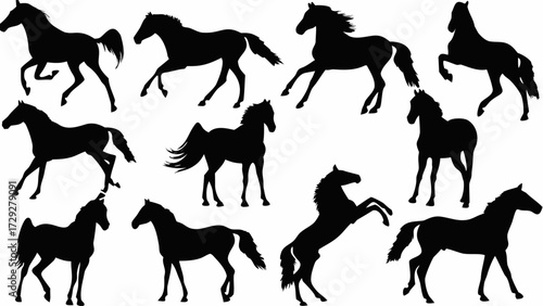 Dynamic collection of elegant horse silhouettes in various spirited poses capturing freedom and power for versatile design projects