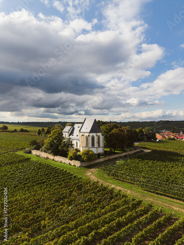 Weinberge in Udenheim mit Bergkirche, September 2025