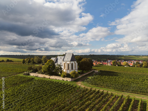 Weinberge in Udenheim mit Bergkirche, September 2025