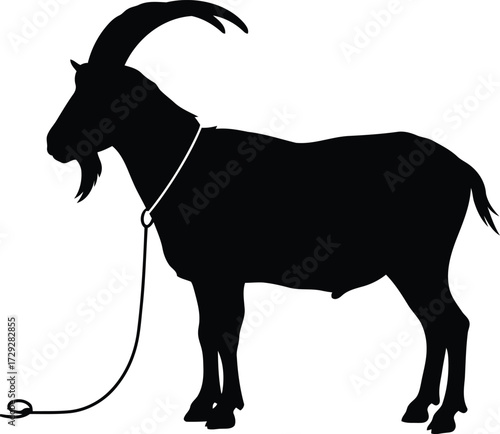 Majestic mountain goat silhouette on white with horns and rope vector
