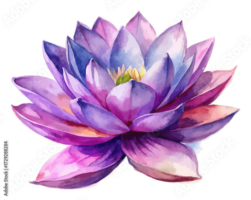 Watercolor Purple Lotus Flower Isolated on White Background