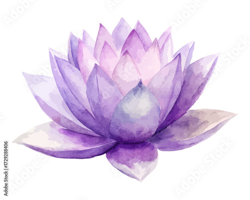 Watercolor Purple Lotus Flower Isolated on White Background
