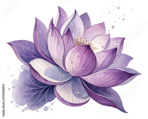 Watercolor Purple Lotus Flower Isolated on White Background