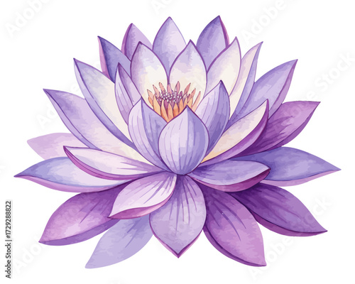 Watercolor Purple Lotus Flower Isolated on White Background