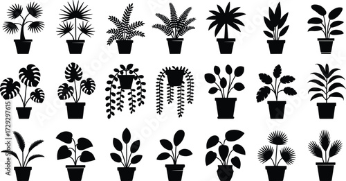 Vector set of indoor potted plant silhouettes, minimal black icons of houseplants with various foliage shapes for botanical illustration, home decor and gardening design