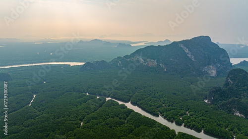 Amazing aerial view of a lush green mangrove forest intersected by winding canal, creating a unique and intricate natural landscape. The scene showcases the rich biodiversity of the coastal ecosystem