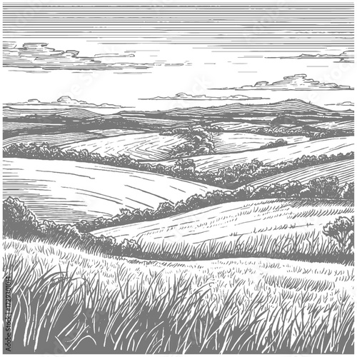 Rolling countryside landscape  Hand-drawn