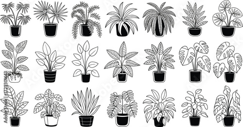 Vector collection of detailed indoor houseplants in pots with decorative leaves, botanical illustration set for gardening, home decor, interior design and plant lovers