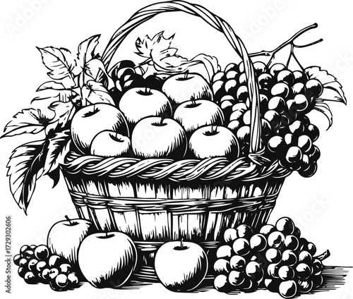 Fruit basket line art, black and white, bold outline, flat white background 3