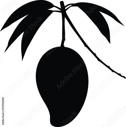 Mango silhouette tropical fruit leaf branch vector graphic vector