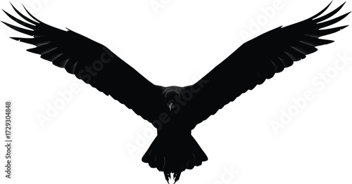 Majestic eagle silhouette in flight freedom power symbol vector art vector