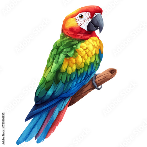 Parrot, watercolor illustration vector, isolated on a white background.
