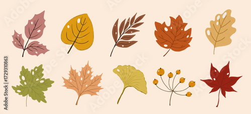 Colorful flat style illustration of autumn elements.