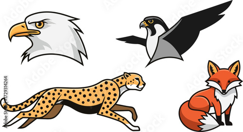 Animals running and flying illustrations