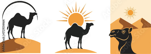 Camel silhouette in desert landscape