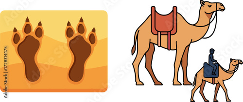 Camel tracks in desert sand