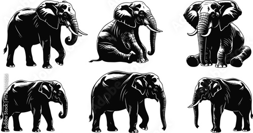 Elephant silhouette vector set featuring standing, walking, and sitting elephants in various poses, African wildlife animal design illustration