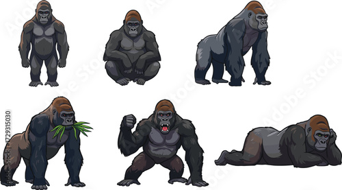 Gorilla vector set with wild ape in different poses standing sitting eating roaring lying down, jungle animal cartoon illustration