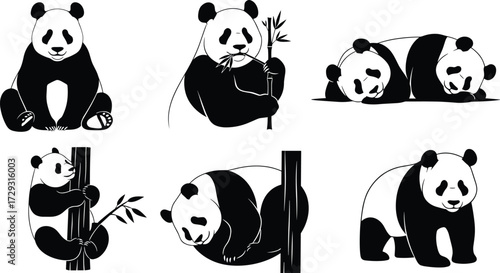 Panda silhouette vector set with pandas eating bamboo sleeping climbing trees sitting and standing, black and white animal illustration