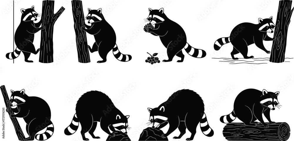 Naklejka premium Silhouette raccoon vector set with cute poses climbing trees, eating fruit, searching food and standing, woodland animal illustration design