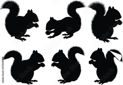 Squirrel silhouette vector set with eating poses, bushy tail icons, black isolated animal shapes, wildlife clipart design for nature themes