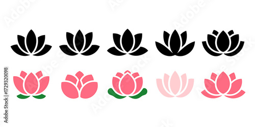 Collection of elegant lotus flower designs in black and pink hues vector